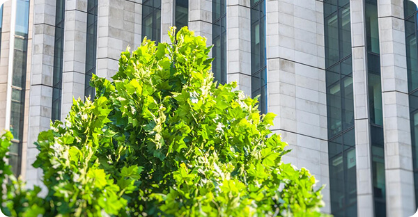 建物を長く使い続けるための塗装